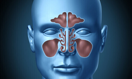 Cold and sinus essential oil